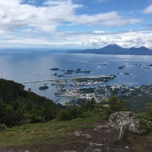 Meet your Posher, Lily